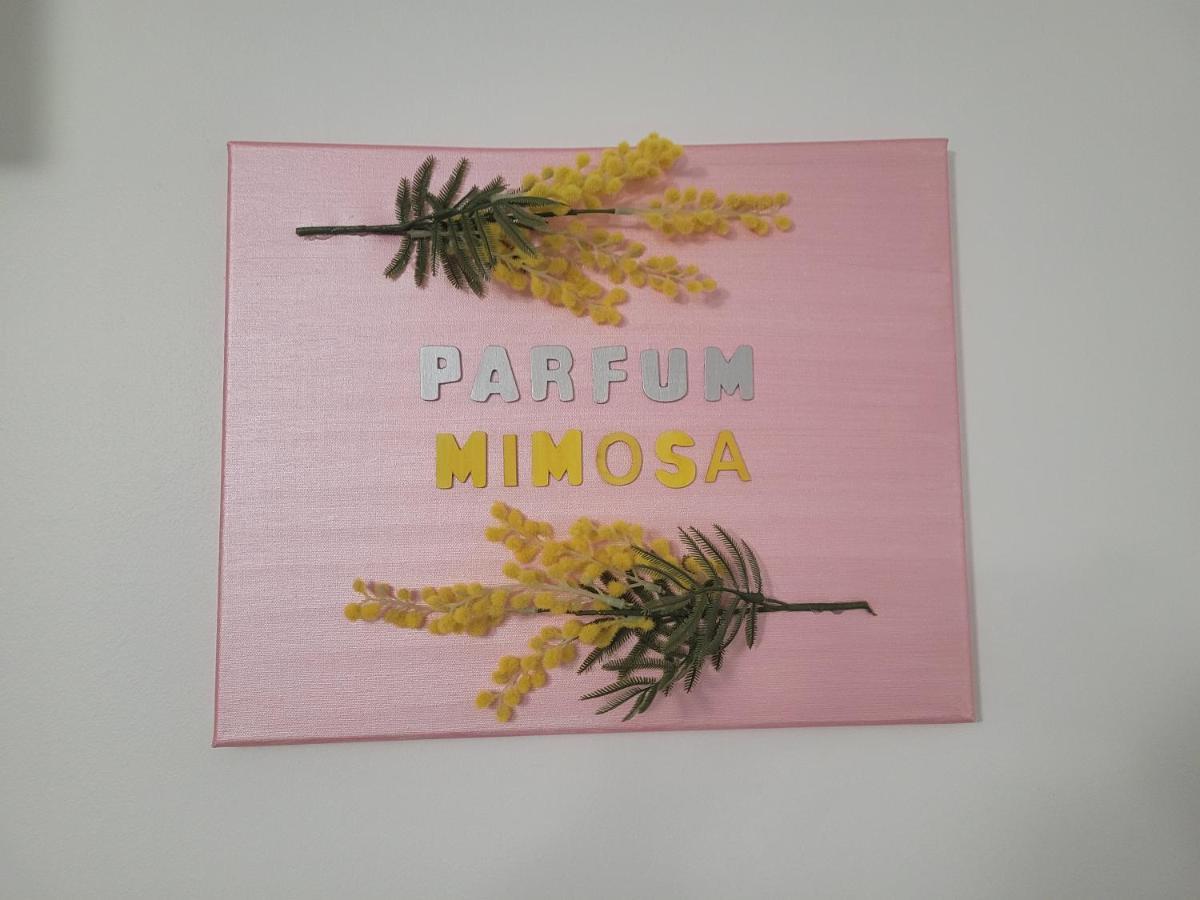 グラースParfum Mimosaアパートメント エクステリア 写真